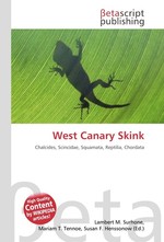 West Canary Skink