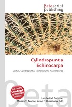 Cylindropuntia Echinocarpa