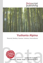 Yushania Alpina