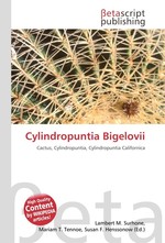 Cylindropuntia Bigelovii