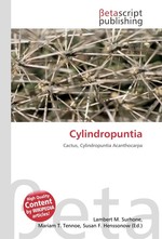 Cylindropuntia