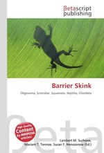 Barrier Skink