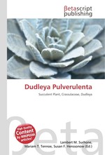 Dudleya Pulverulenta