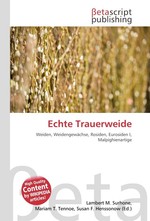 Echte Trauerweide