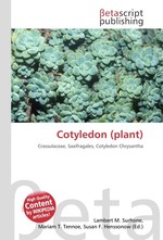 Cotyledon (plant)