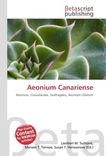 Aeonium Canariense