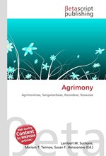 Agrimony