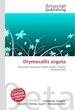 Drymocallis arguta