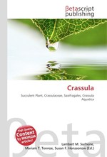 Crassula