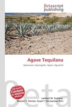 Agave Tequilana