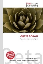 Agave Shawii