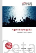 Agave Lechuguilla