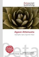 Agave Attenuata