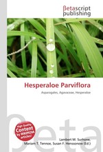 Hesperaloe Parviflora