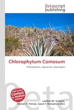 Chlorophytum Comosum