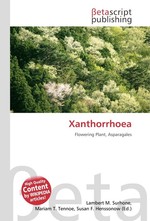 Xanthorrhoea