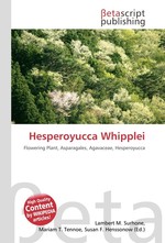 Hesperoyucca Whipplei