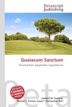 Guaiacum Sanctum