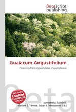 Guaiacum Angustifolium