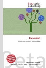 Gevuina