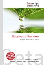 Eucalyptus Wandoo