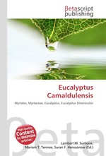 Eucalyptus Camaldulensis