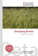 Drooping Brome