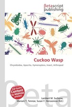 Cuckoo Wasp