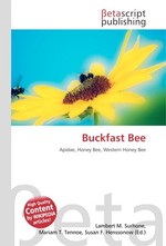 Buckfast Bee