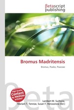 Bromus Madritensis