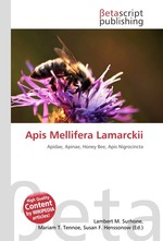 Apis Mellifera Lamarckii