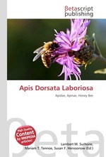 Apis Dorsata Laboriosa