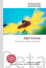 Apis Cerana