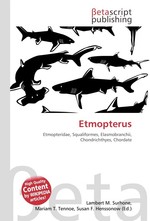 Etmopterus