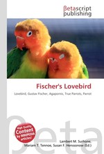 Fischers Lovebird