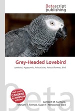 Grey-Headed Lovebird