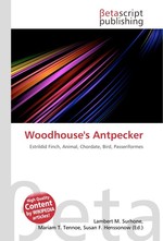 Woodhouses Antpecker