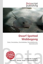 Dwarf Spotted Wobbegong