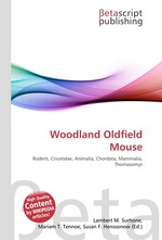 Woodland Oldfield Mouse