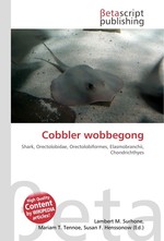 Cobbler wobbegong