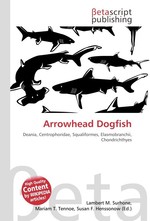 Arrowhead Dogfish