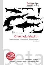 Chlamydoselachus