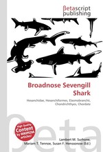 Broadnose Sevengill Shark