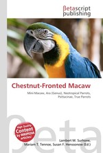 Chestnut-Fronted Macaw