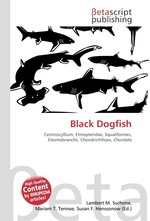 Black Dogfish