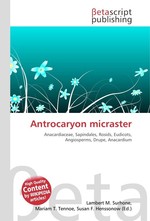 Antrocaryon micraster