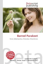 Barred Parakeet