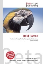 Bald Parrot