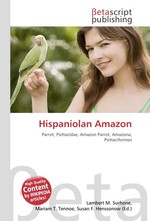 Hispaniolan Amazon