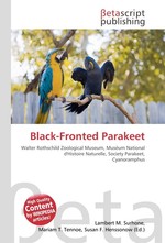 Black-Fronted Parakeet